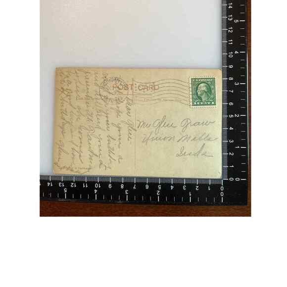 Antique 1915 Ephemera Postcard Birthday Wishes Great Dane Daisies Roses Monotone - Picture 3 of 6